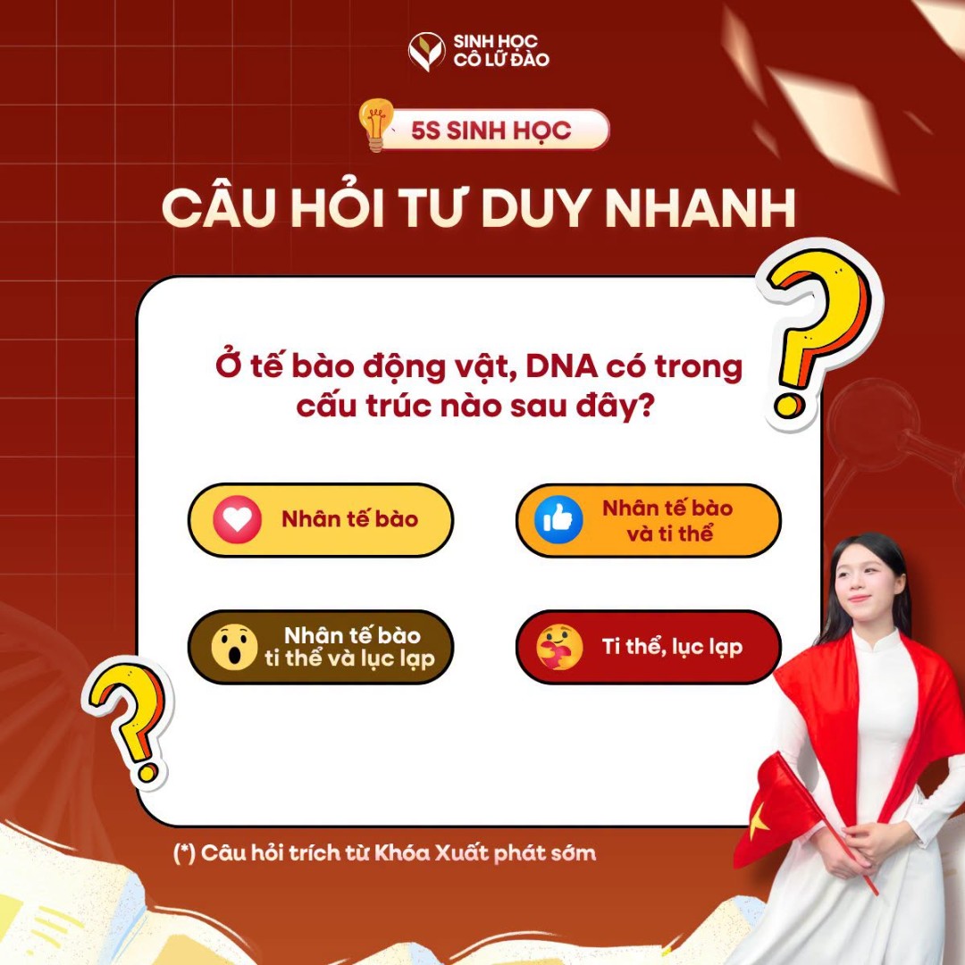 Ảnh minh họa cho CÂU HỎI TƯ DUY NHANH