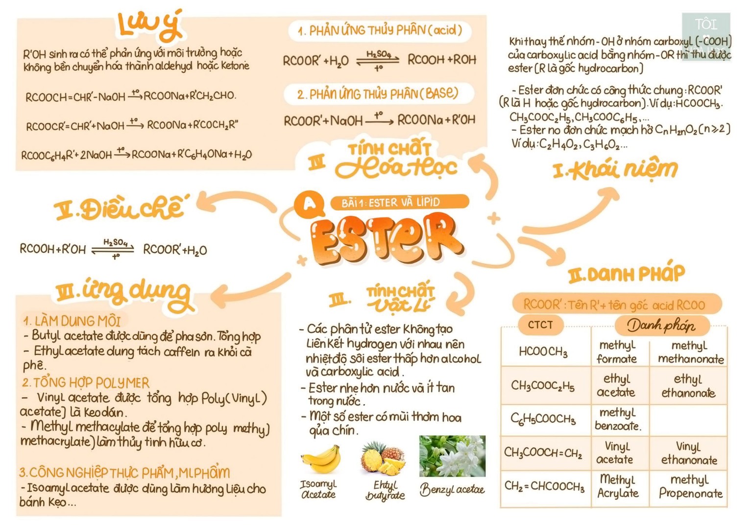 Ảnh minh họa cho SƠ ĐỒ TƯ DUY ESTER
