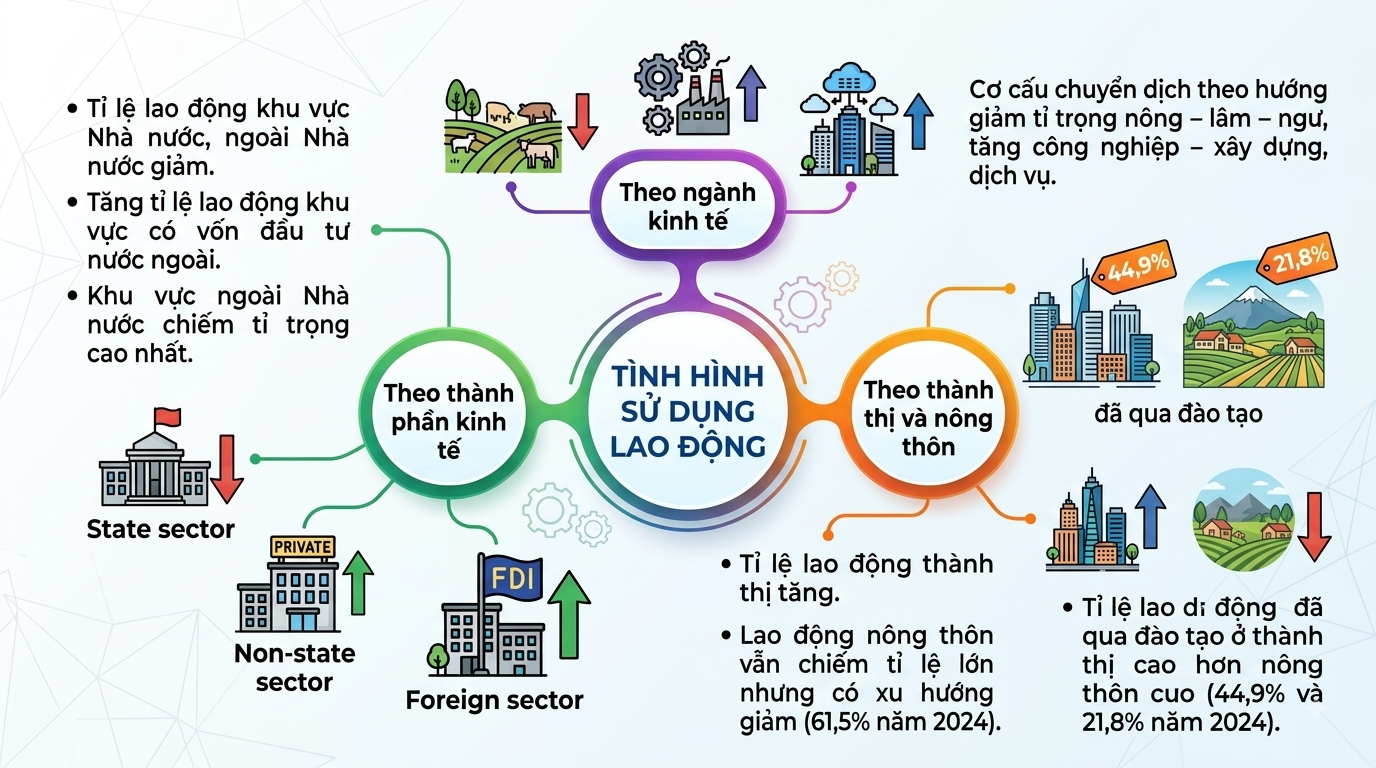 Ảnh minh họa cho CĐ2 - BÀI 7 – PHẦN 2. SƠ ĐỒ TƯ DUY LAO ĐỘNG VÀ VIỆC LÀM