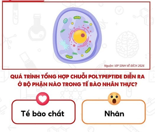 Ảnh minh họa cho Chia sẻ slide ảnh