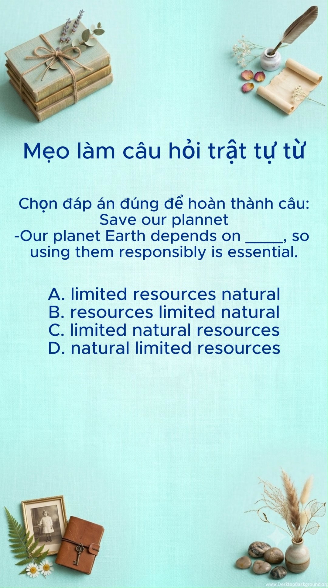 Ảnh minh họa cho CÂU HỎI TRẬT TỰ TỪ