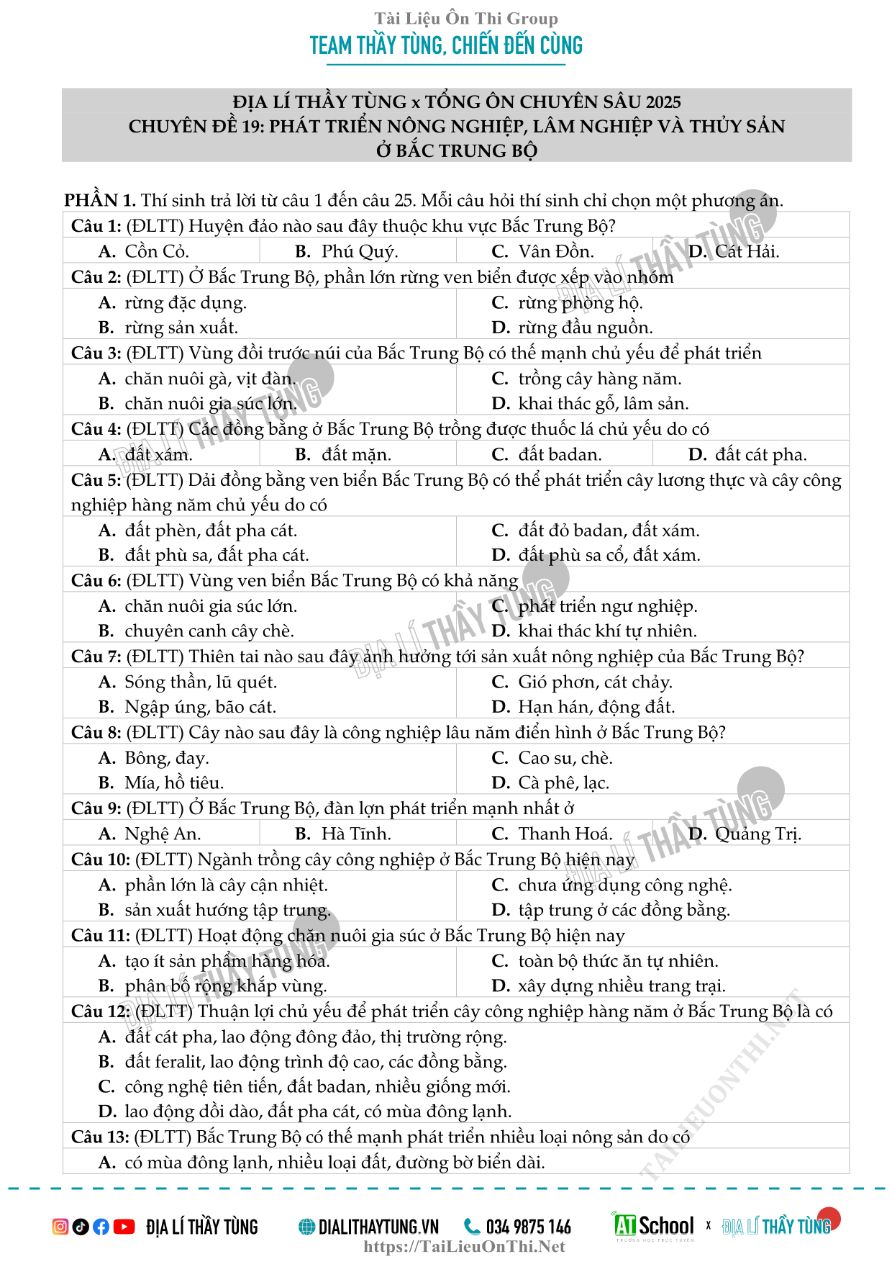 Ảnh minh họa cho Bài tập Chuyên đề 19