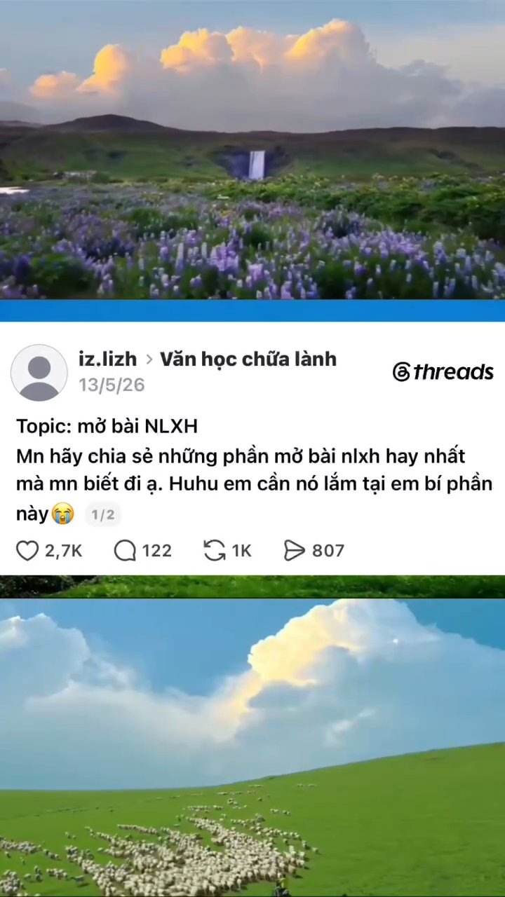 Ảnh minh họa cho MỞ BÀI NGHỊ LUẬN XÃ HỘI