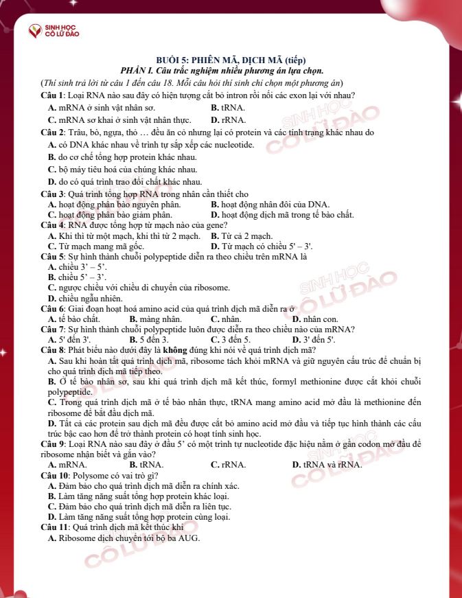 Ảnh minh họa cho Luyện tập buổi 5: Phiên mã Dịch mã ( tiếp)