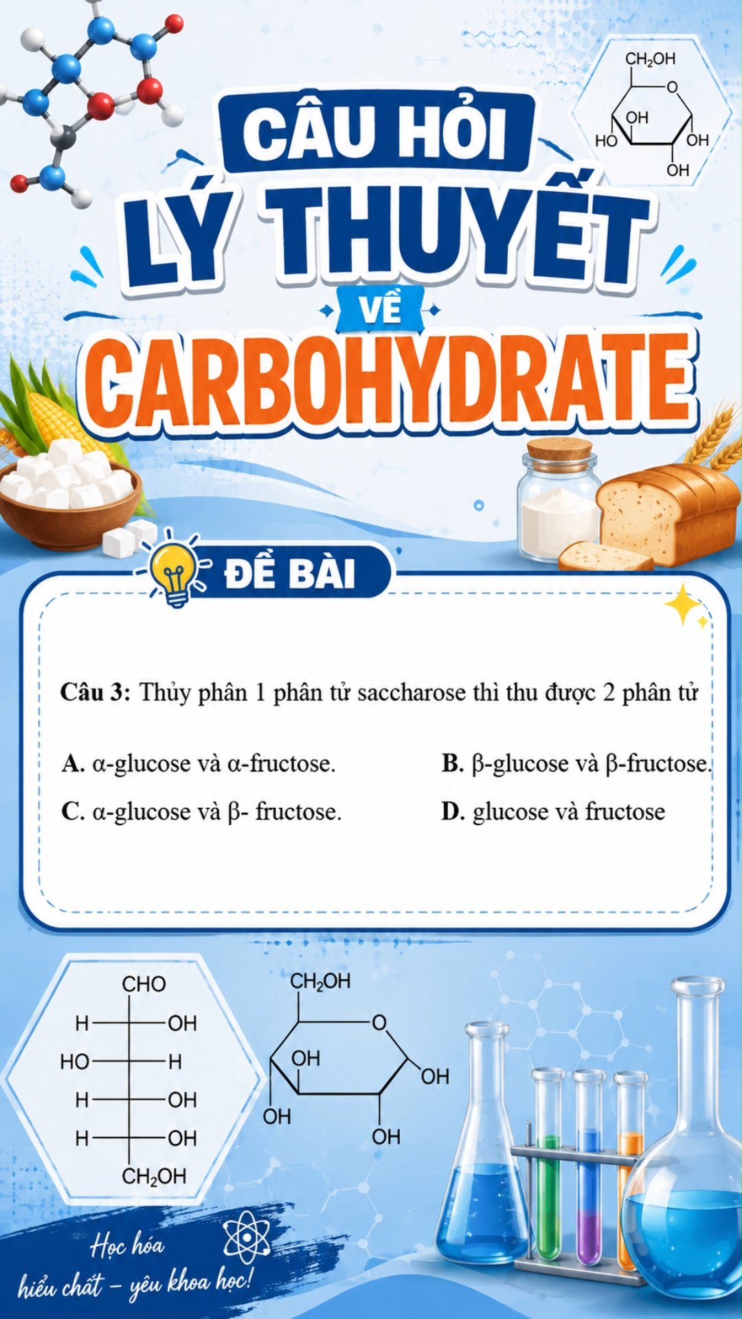 Ảnh minh họa cho LÝ THUYẾT CARBOHYDRATE