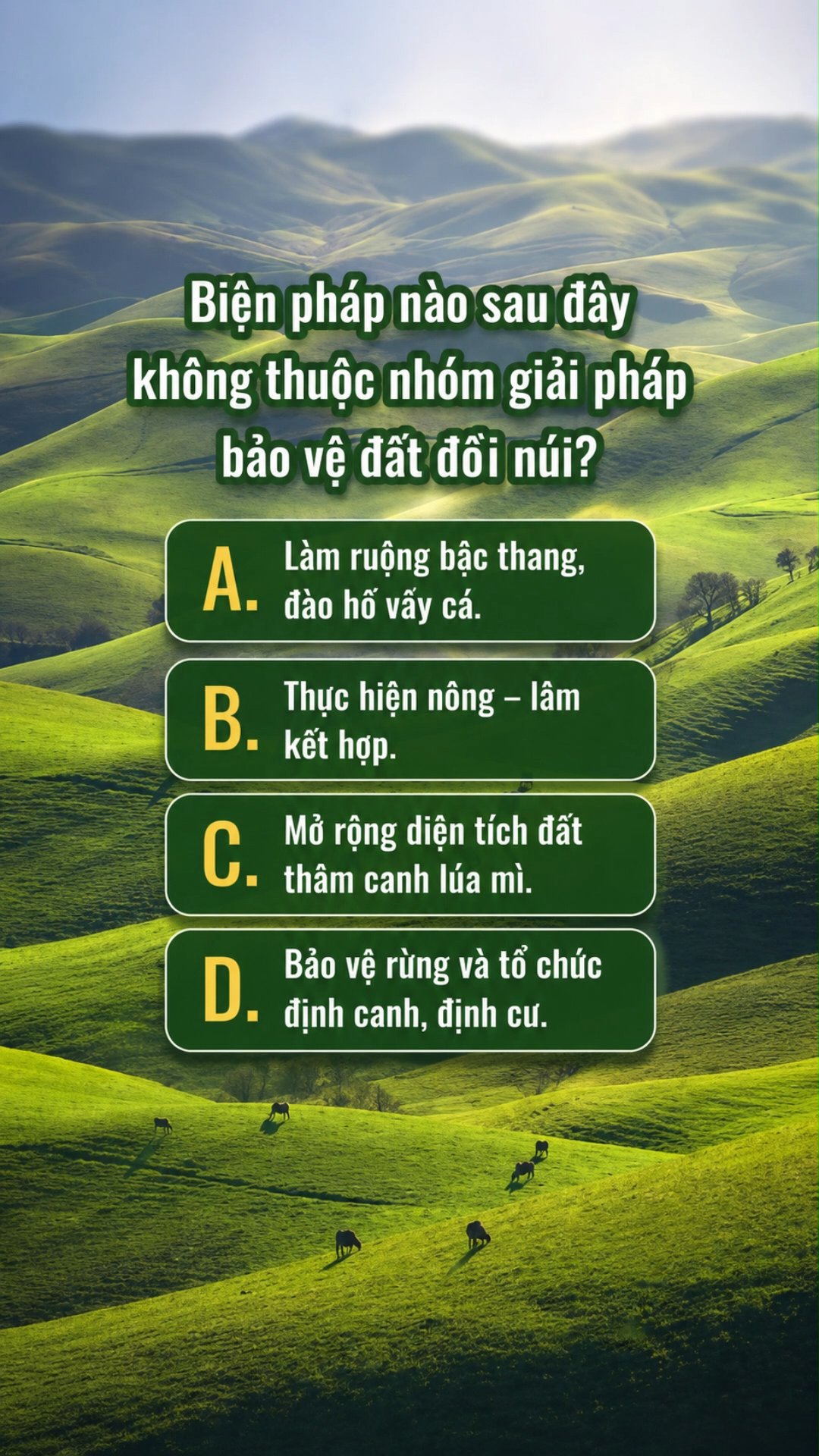 Ảnh minh họa cho CĐ1 - BÀI 4 - PHẦN 2: SỬ DỤNG HỢP LÍ TÀI NGUYÊN THIÊN NHIÊN VÀ BẢO VỆ MÔI TRƯỜNG