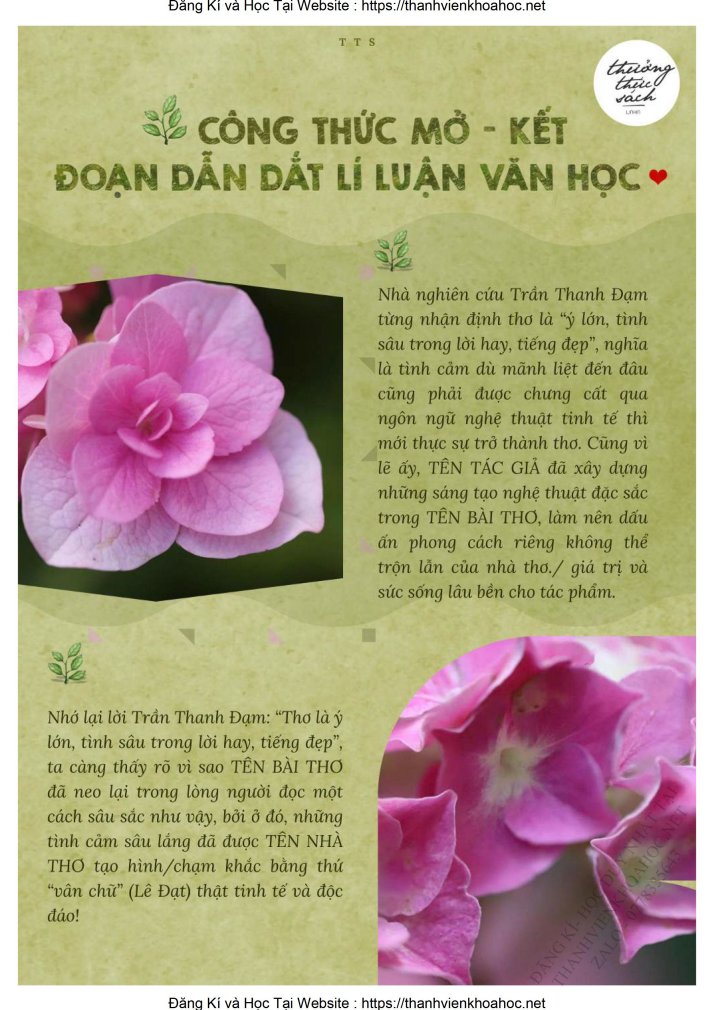 Ảnh minh họa cho TUYỂN TẬP ĐỀ BỔ TRỢ CÔ TRÚC LINH