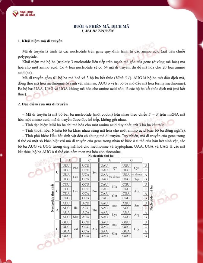 Ảnh minh họa cho buo-i-4-phie-n-ma-di-ch-ma