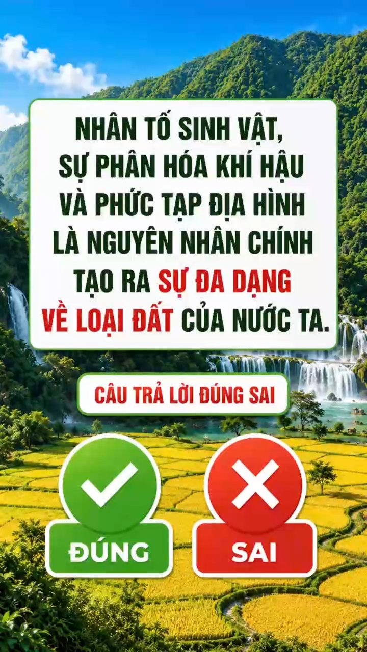 Ảnh minh họa cho CÂU HỎI ĐÚNG - SAI VỀ ĐỊA LÝ TỰ NHIÊN