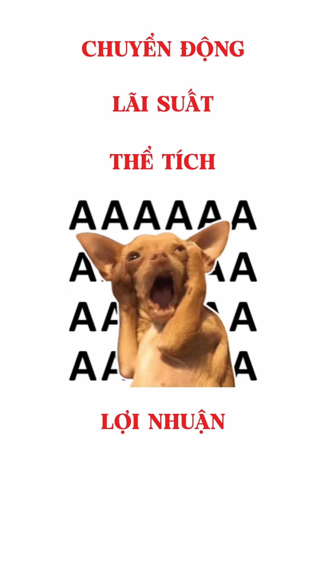 Ảnh minh họa cho Toán thực tế
