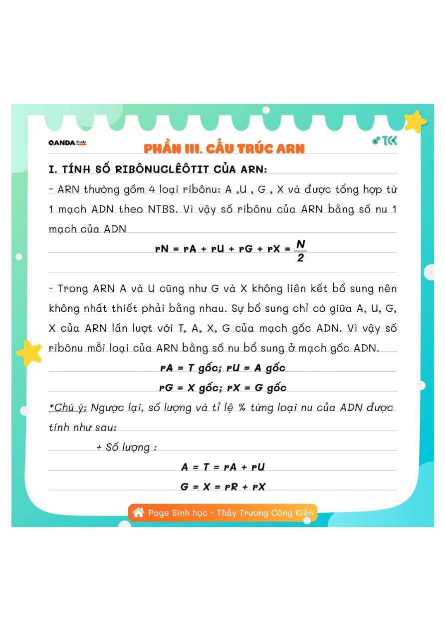 Ảnh minh họa cho Phần III&IV: Cấu trúc ARN & Cơ chế tổng hợp ARN