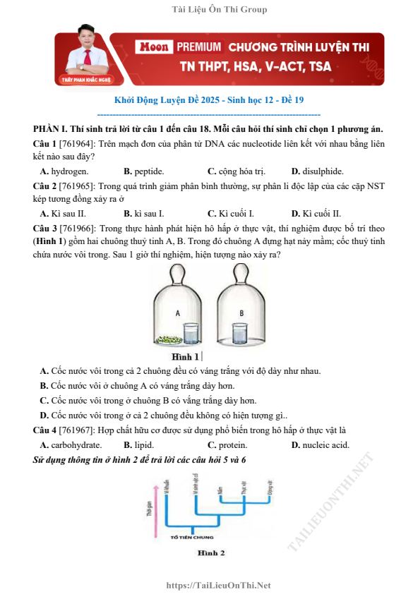 Ảnh minh họa cho KHỞI ĐỘNG LUYỆN ĐỀ 2025 MÔN SINH HỌC-ĐỀ 19
