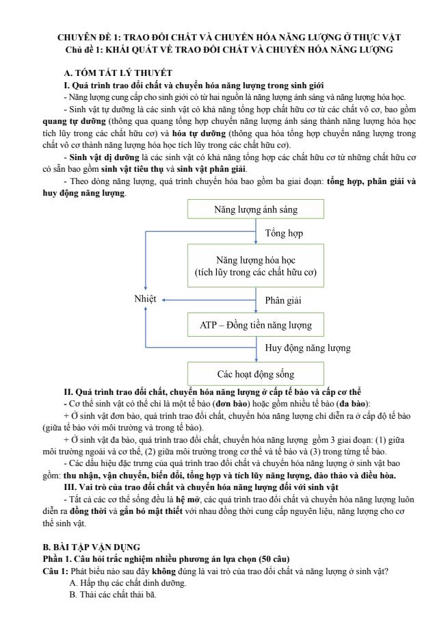 Ảnh minh họa cho 1-trao-doi-chat-va-chuyen-hoa-nang-luong-o-thuc-vat