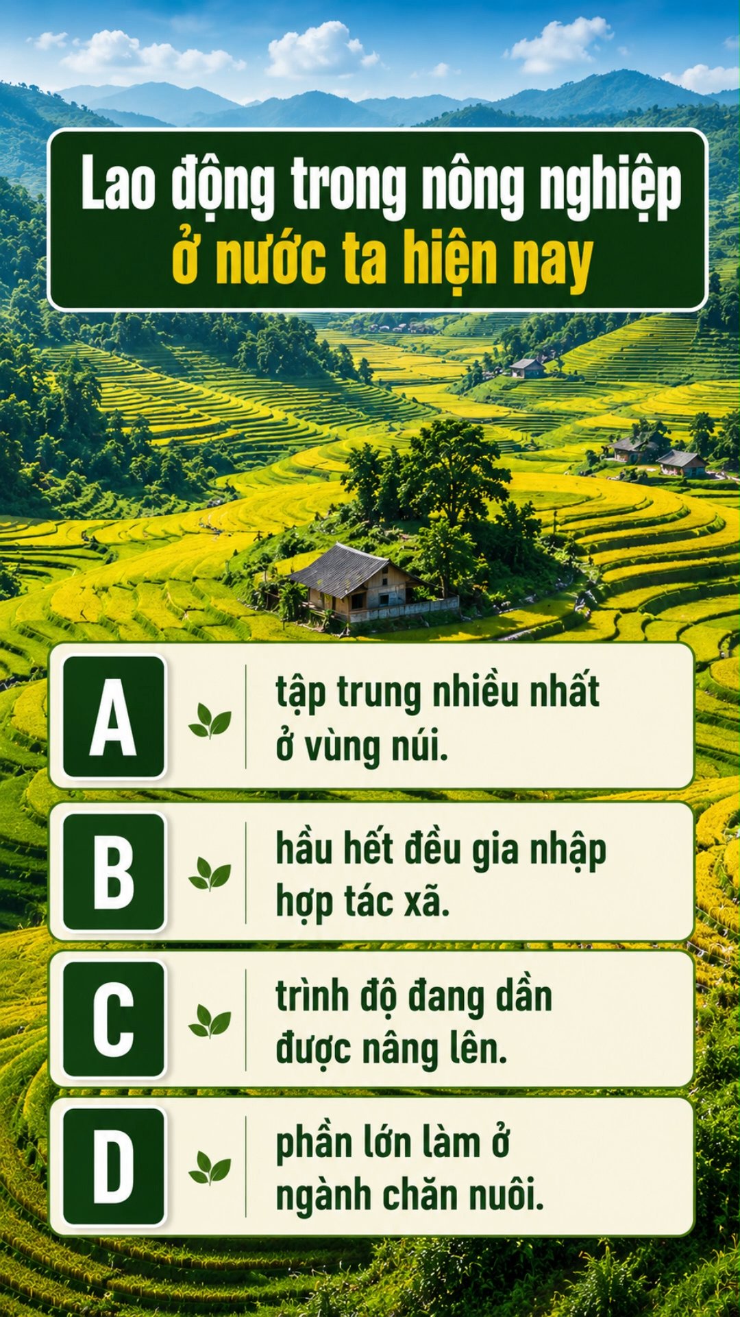 Ảnh minh họa cho CÂU HỎI ÔN TẬP ĐỊA LÝ PHẦN LAO ĐỘNG TRONG NGÀNH NÔNG NGHIỆP
