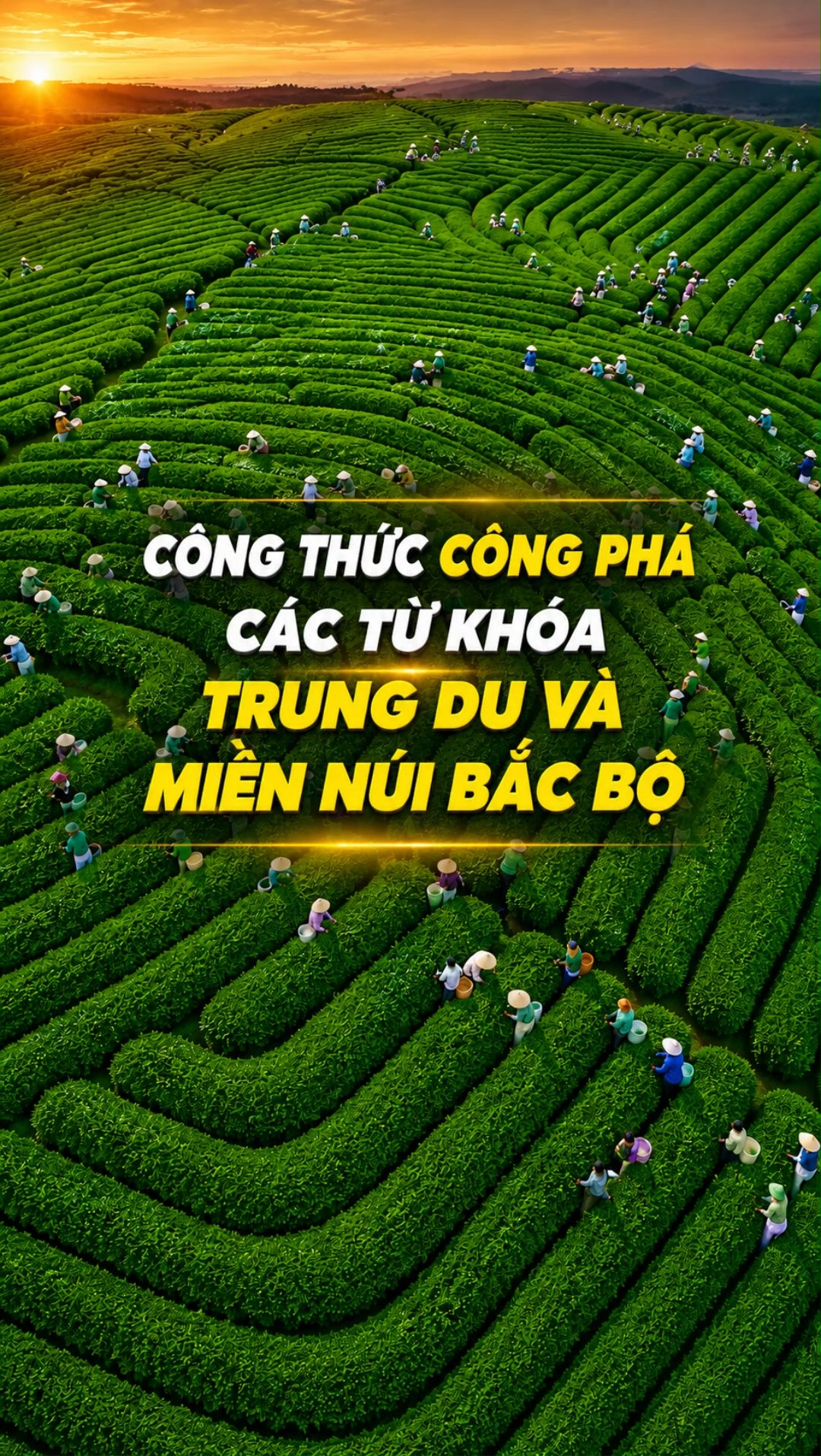 Ảnh minh họa cho CÔNG PHÁ TỪ KHÓA 9+ PHẦN TRUNG DU VÀ MIỀN NÚI BẮC BỘ