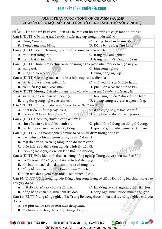 Ảnh minh họa cho 2025-dltt-to-cd10-de