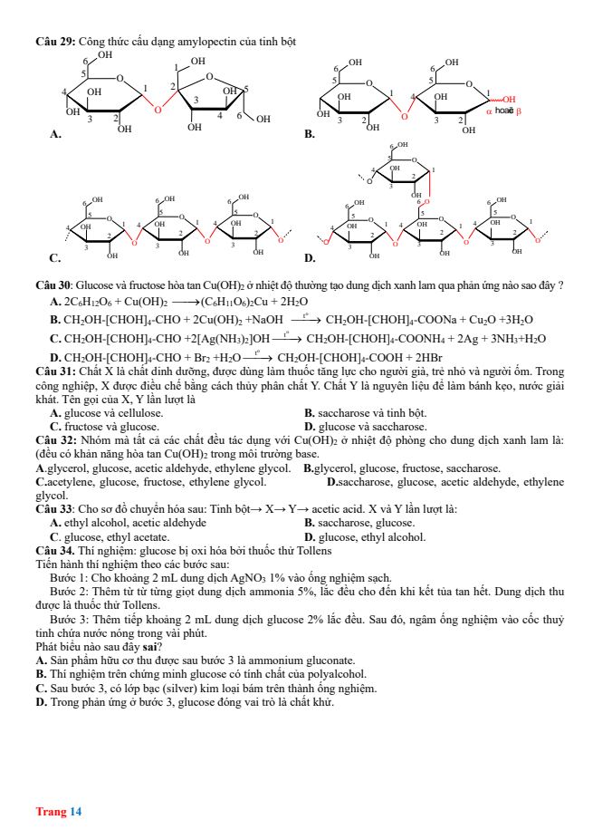 Ảnh minh họa cho cau-hoi-ve-carbohydrate-4