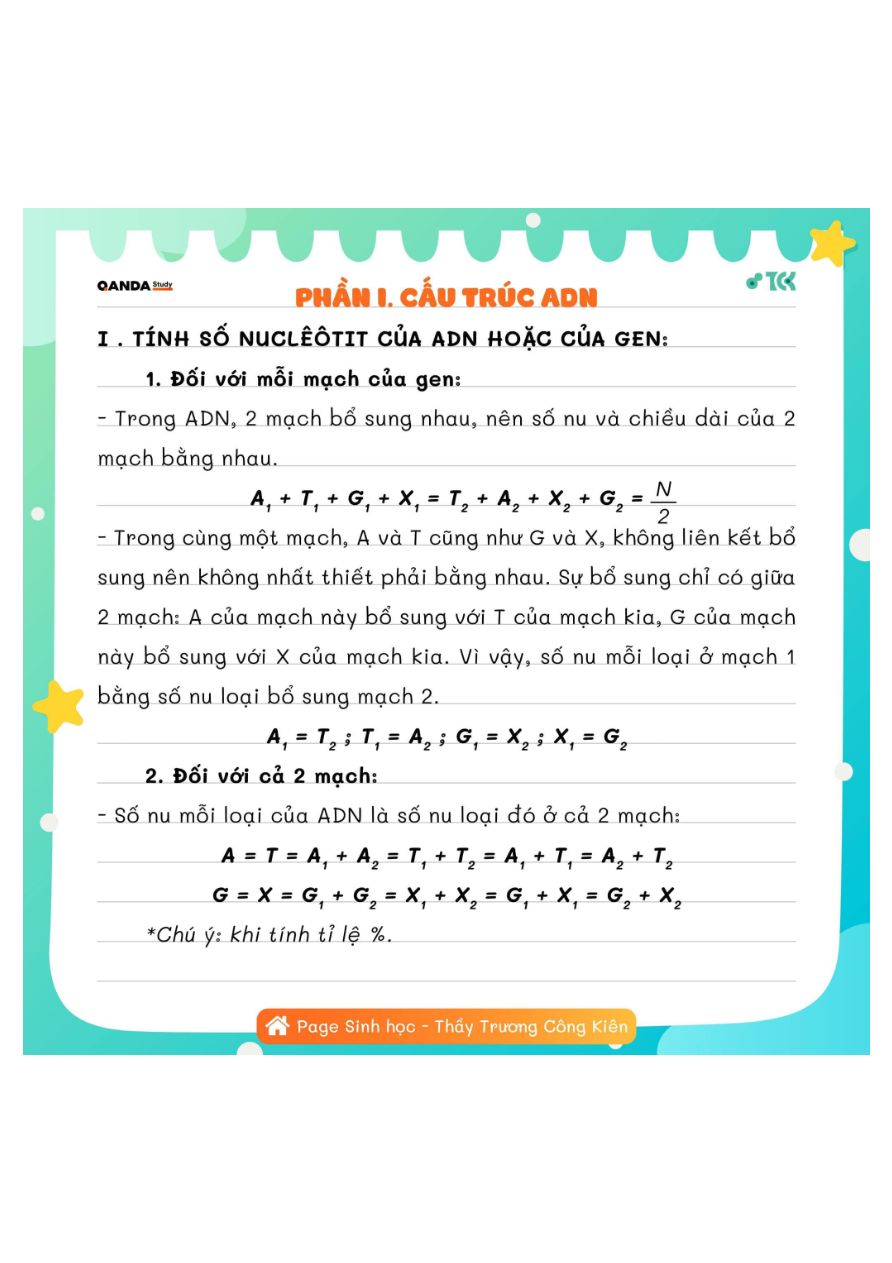 Ảnh minh họa cho Phần I&II: Cấu trúc ADN & Cơ chế tự nhân đôi của ADN
