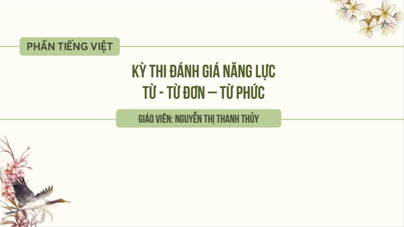 Ảnh minh họa cho slide-bai-0101-tu-tu-don-tu-phuc-1717832504042