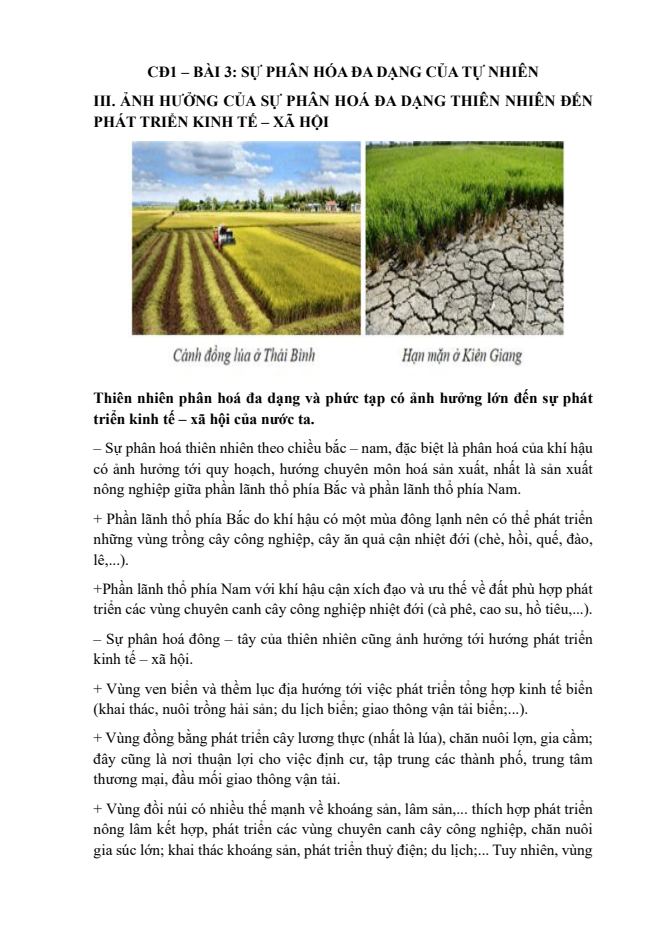 Ảnh minh họa cho CĐ1 – BÀI 3 - PHẦN 3: SỰ PHÂN HÓA ĐA DẠNG CỦA TỰ NHIÊN