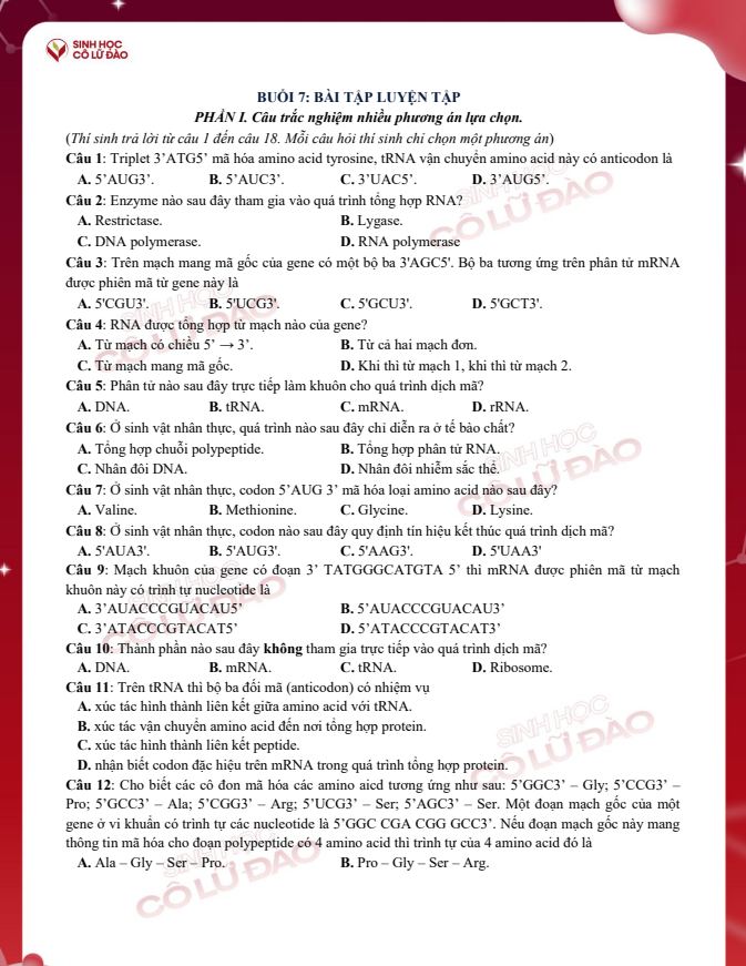 Ảnh minh họa cho Luyện tập buổi 7 Sinh Học