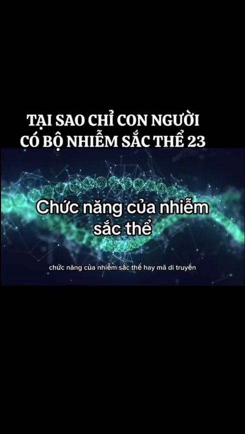 Ảnh minh họa cho VIDEO CHƯƠNG 2 -BÀI 7- PHẦN 2 : CHỨC NĂNG CỦA NHIỄM SẮC THỂ