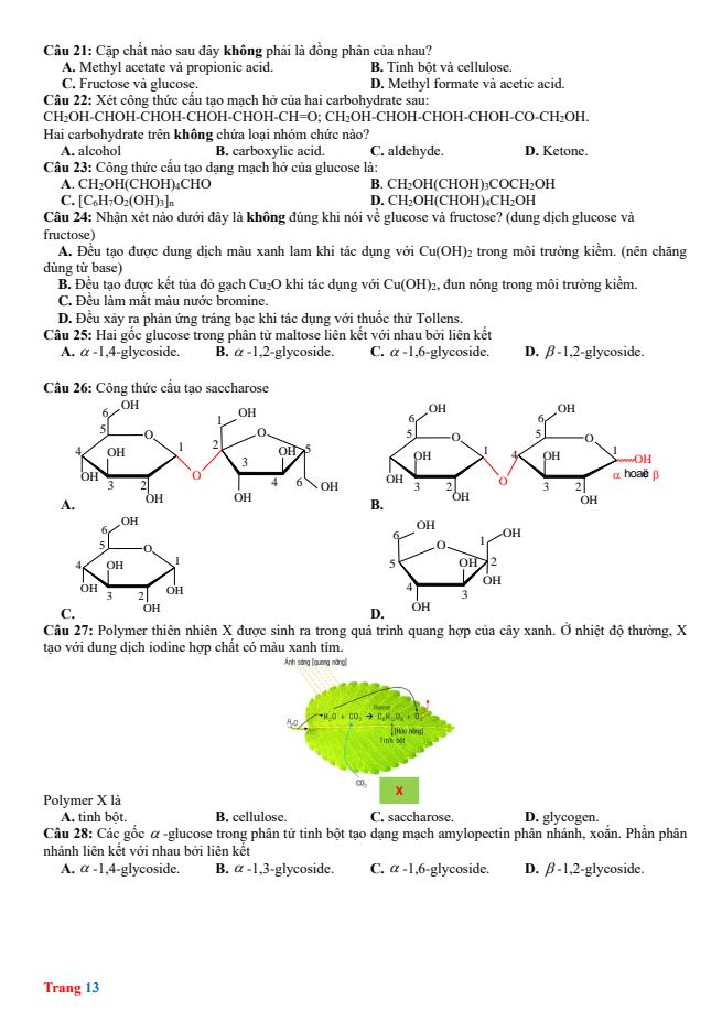 Ảnh minh họa cho cau-hoi-ve-carbohydrate-3
