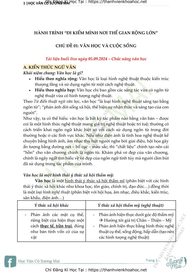 Ảnh minh họa cho TỔNG ÔN THI THPT NGỮ VĂN CÙNG CÔ SƯƠNG MAI