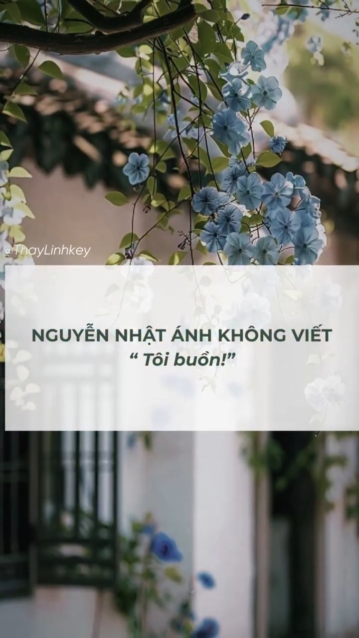 Ảnh minh họa cho "Khi lần đầu tiên đón nhận nỗi buồn, tôi hiểu rằng tuổi thơ của mình đã hết"  - Nguyễn Nhật Ánh-