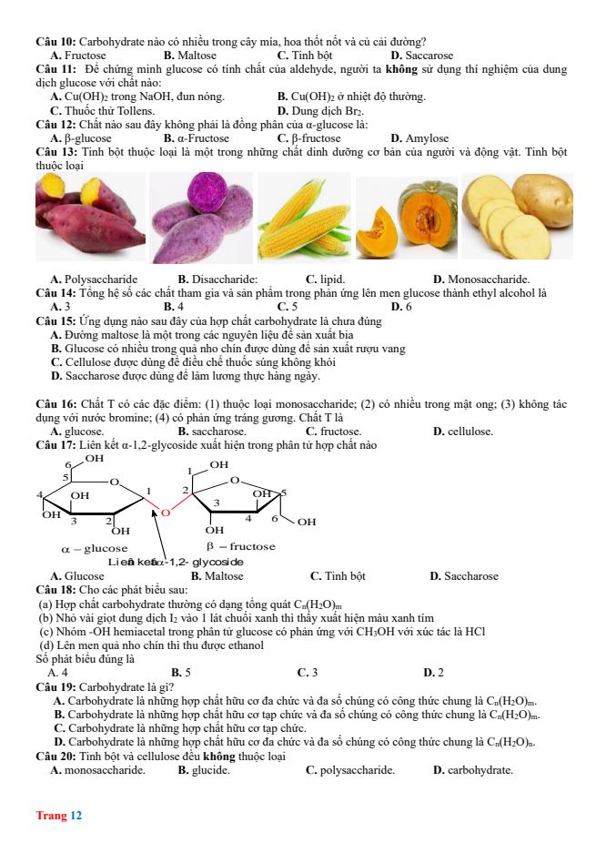 Ảnh minh họa cho cau-hoi-ve-carbohydrate-2