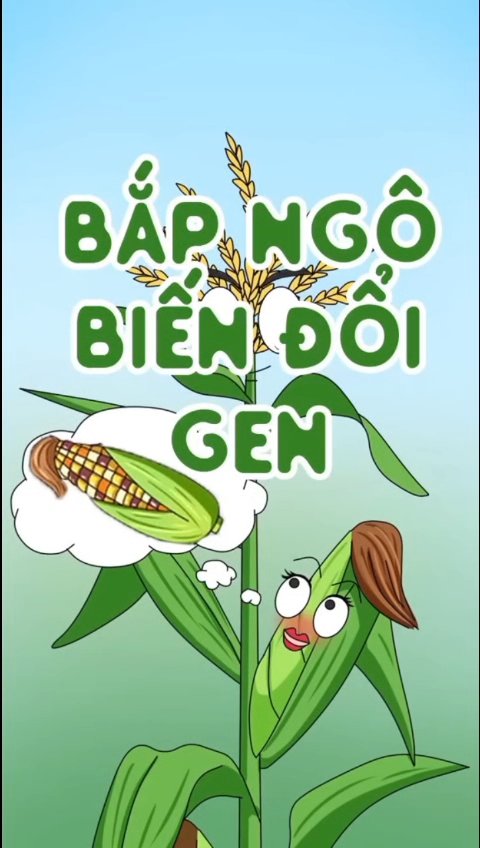 Ảnh minh họa cho VIDEO BÀI 5 PHẦN 2 :CÔNG NGHỆ TẠO THỰC VẬT VÀ ĐỘNG VẬT BIẾN ĐỔI GENE