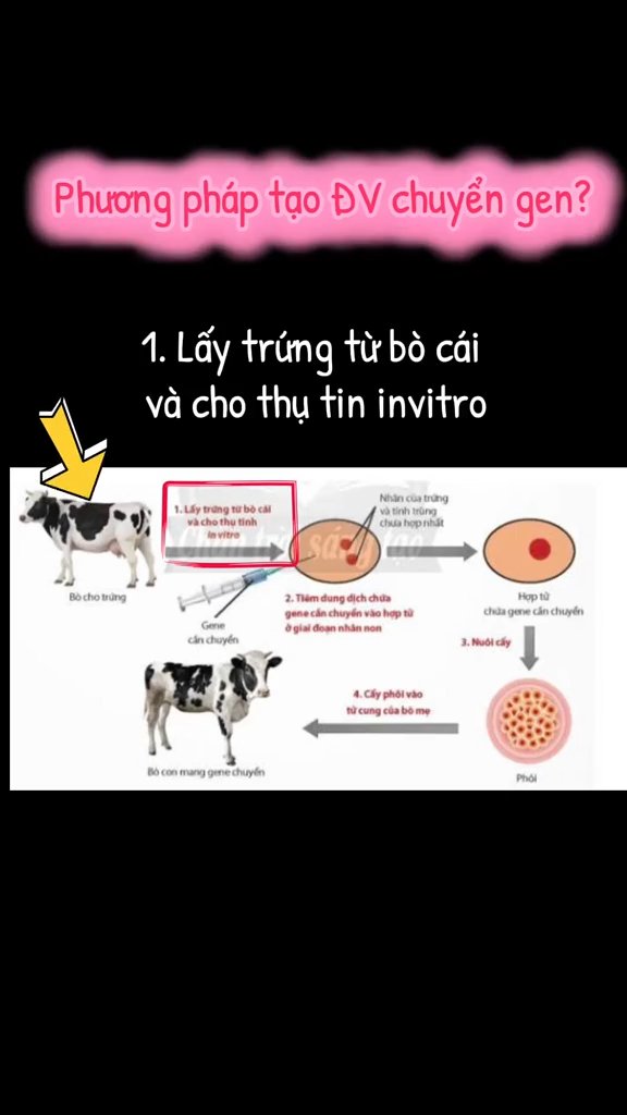 Ảnh minh họa cho VIDEO BÀI 5 PHẦN 2 :CÔNG NGHỆ TẠO THỰC VẬT VÀ ĐỘNG VẬT BIẾN ĐỔI GENE