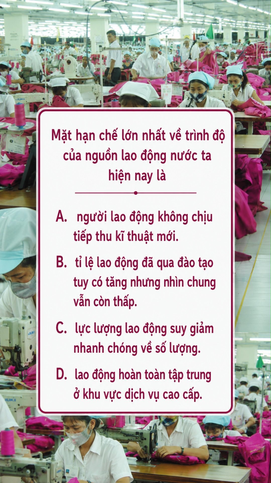 Ảnh minh họa cho CĐ2 - BÀI 7 – PHẦN 1: LAO ĐỘNG VÀ VIỆC LÀM