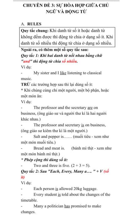 Ảnh minh họa cho CHUYÊN ĐỀ 3 - SỰ HÀI HÒA GIỮA CHỦ NGỮ VÀ ĐỘNG TỪ